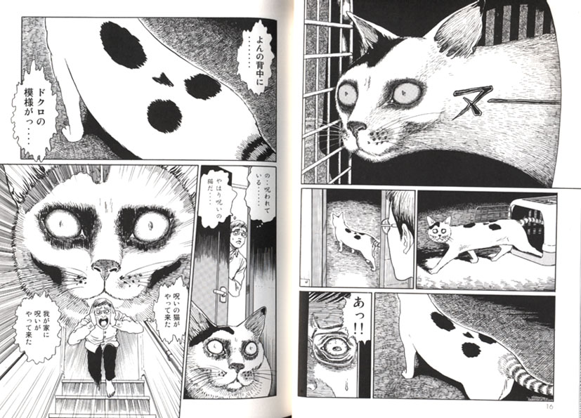 CAT DIARY Junji Ito