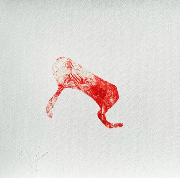 Wound8