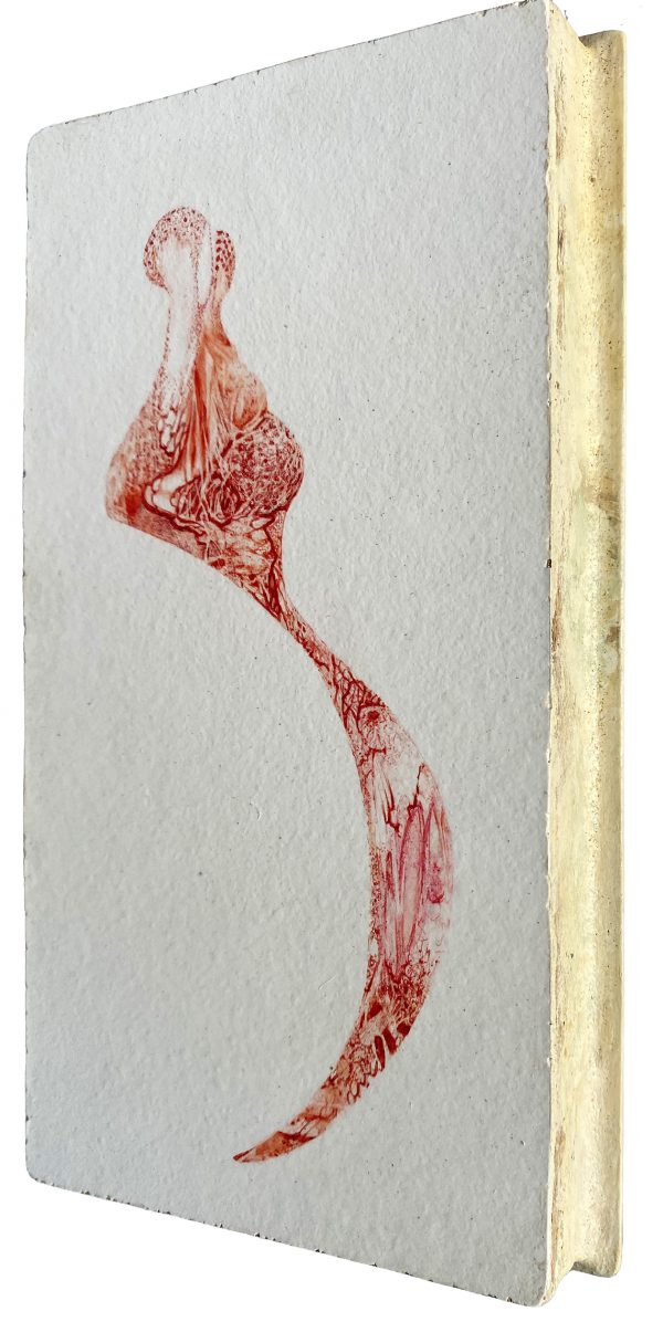 Wound 5 105 x 19