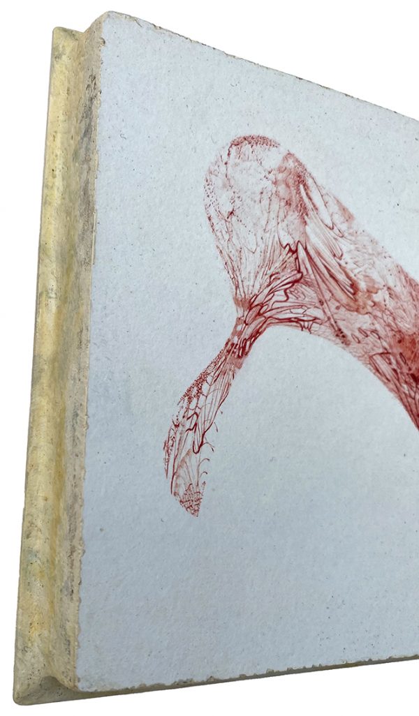 Wound 8 13 x 13
