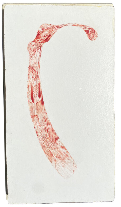 Blessé 14 11 x 20