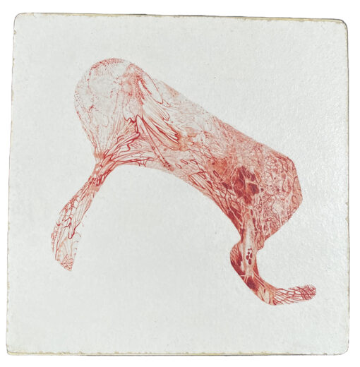Plaie 8