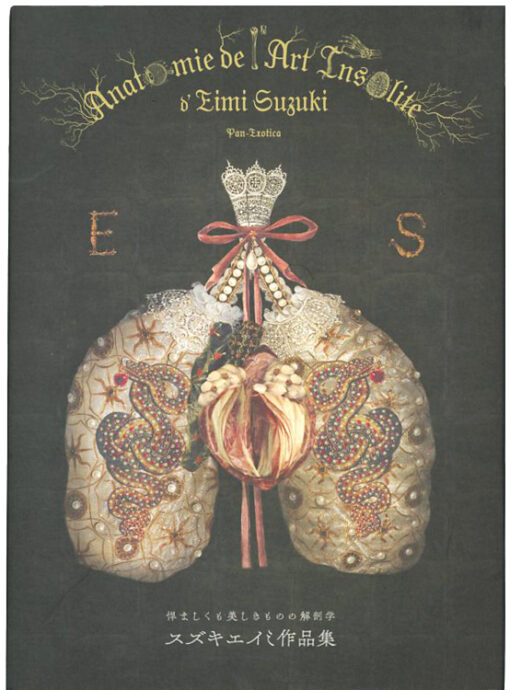 ANATOMIE DE LINSOLITE