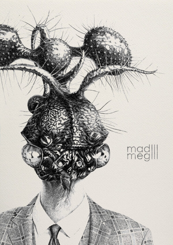 madmeg3